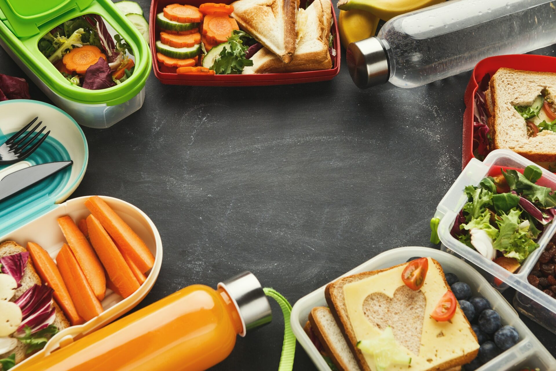 17 Attractive and Affordable Lunch Box Brands