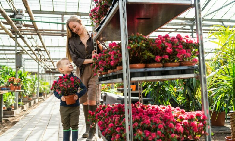 Little boy and his mom looking for birth flowers
