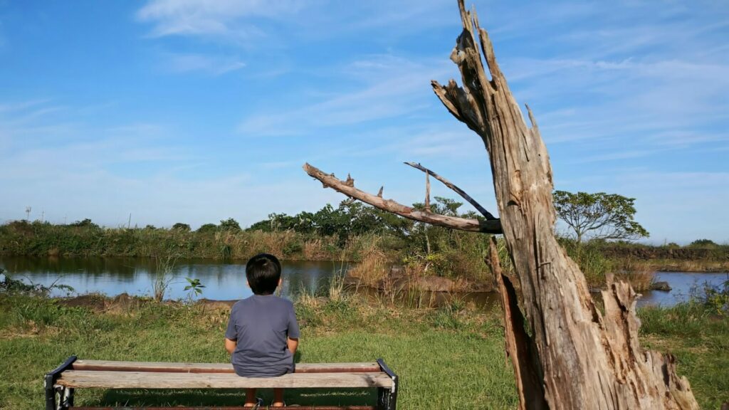 Boy looking at the Susan Hanmot Pond in Seongsan-up, Jeju Island, South Korea.