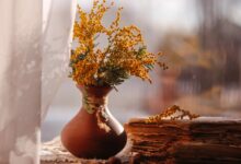 spring-vintage-still-life-flower-vase-of-mimosa-in-a-2023-11-27-05-22-55-utc