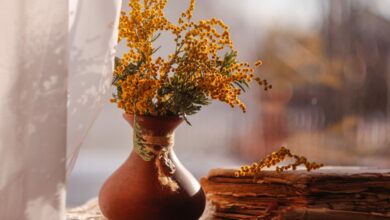 spring-vintage-still-life-flower-vase-of-mimosa-in-a-2023-11-27-05-22-55-utc